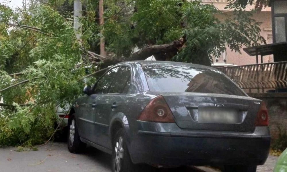 Αγία Παρασκευή: Πτώση δέντρου από τον άνεμο πάνω σε αυτοκίνητα (εικόνες)